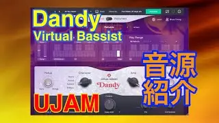 【Preset】Virtual Bassist Dandy ベース音源 UJAM