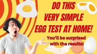 How Determine the Freshness of Eggs
