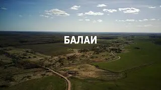БАЛАИ история