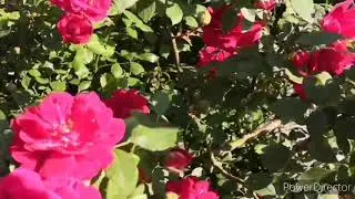 Что посмотреть в Пятигорске