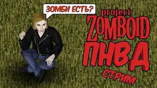 Просто не ваш день в 42 билде Project Zomboid (42.8.1)