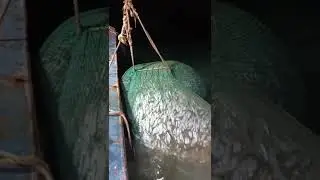 Deep-sea trawling