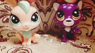 LPS 10 ЛЮБИМХ ЛПС/СОВМЕСТНО С МОЕЙ ПОДРУГОЙ