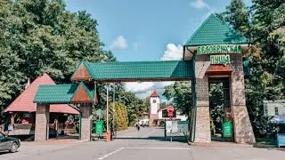 Поездка в Беловежскую пущу!