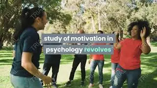 Motivation Definition in Psychology