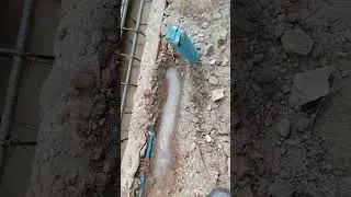 Anti-Termite Service #animals #dog #like #pestcontrol