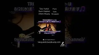 pause #piano #violin #percussion #星野沙織