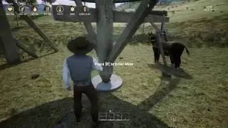 Broken Donkey (Outlaws of the Old West)