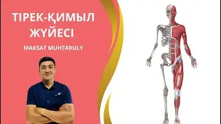 ТІРЕК-ҚИМЫЛ ЖҮЙЕСІ АНАТОМИЯСЫ