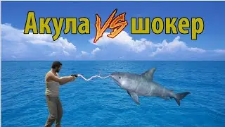 GTA 5 (PC) - Что будет если выстрелить в акулу ЭЛЕКТРОШОКЕРОМ?