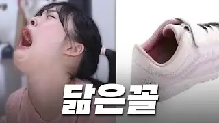 The Bizarre Look-Alike Contest | Bbogumi