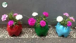 Easy Ideas | Recycle Plastic Bottles Into Mini Plant Apple Shape Flower Pots