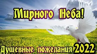 Душевные пожелания,Мирного неба над головой!2022