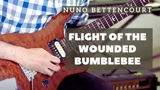 Flight of the Wounded Bumblebee | Nuno Bettencourt (Extreme) | Guitar Cover