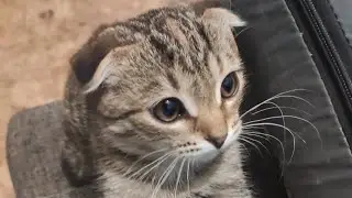 Биба и боба, два д...ба, собрались на рыбалку! Смотреть до конца!