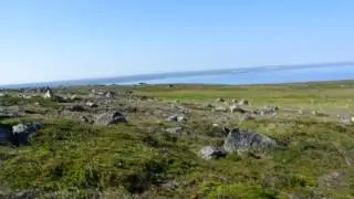 гремиха святой нос чужак жилой городок 3