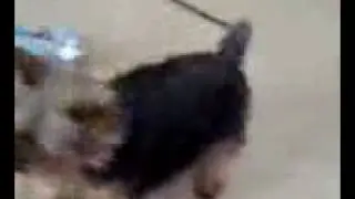 B0yL0v3r!