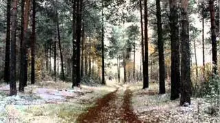 ребята 70 широты