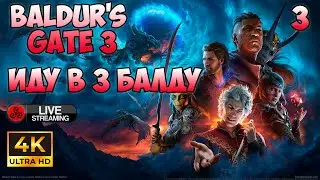 Baldur's Gate 3. Релиз игры, ищем лекаря