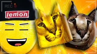 ГДЕ НАЙТИ РЕДКИЕ МОРФЫ ШЛЕПЫ в ROBLOX!