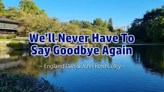 WE'LL NEVER HAVE TO SAY GOODBYE AGAIN - (Karaoke Version) - by England Dan & John Ford Coley