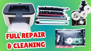 Canon LBP6230dw Printer Repair & Cleaning | Fix Fuser, Clutch Pads, Scanner Dust
