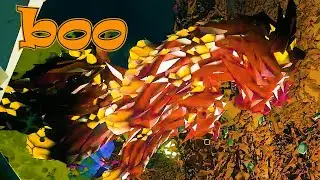 Rockpox Larva