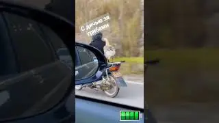 гусь на мо оцикле
