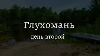 Яурин 2022. Часть 2