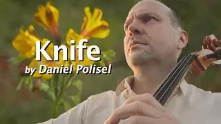 Knife by Daniel Polisel