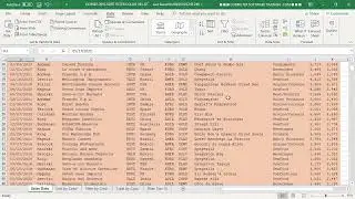 EX-07-24 – Sorting, Filtering & Visual Criteria: Data Control Through Color & Icons
