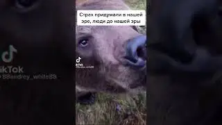 Бесстрашный😂 