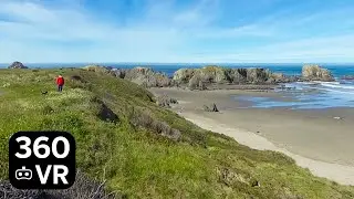 360 8K - Trail at Kronenberg Park, Coquille Point, Bandon, Oregon