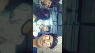 Tik Tok Viral video || Tik Tok Video ||