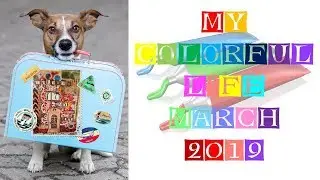 My Colorful Life March 2019