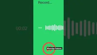 WhatsApp Features 