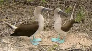Reiseberichte - Ecuador & Galapagos Inseln