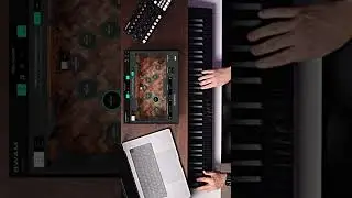 Simon Novsky crafted a short piece called 