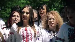 День вишиванки в Уманській ЦРЛ