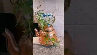 Kitchen counter decor