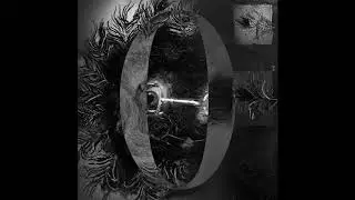 LAREN - Project Zero