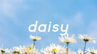 (FREE) Justin Bieber Type Beat - DAISY | Pop Type Beat 2022