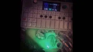 OP-1 Beat 18