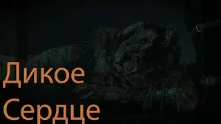 Заказ:Дикое сердце