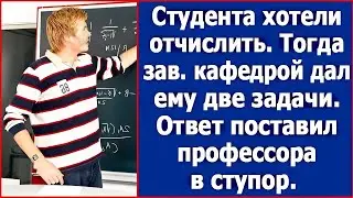 жизненные истории | Как Две Задачи Завкафедрой Спасли Студента от Отчисления и Удивили Профессора