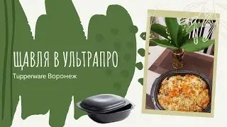 Щавля в УльтраПро Tupperware