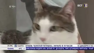 Регистрация домашних животных с помощью АС "RegAgro" в Башкирии
