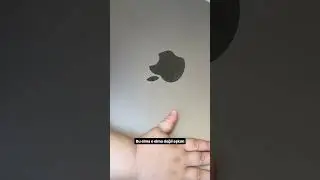 Bu elma o elma değil aşkım