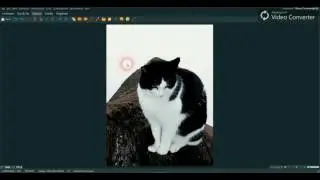 How to cut out an object and insert it into a different background