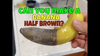 How to make a banana half brown? (You can with oxidised phenols)